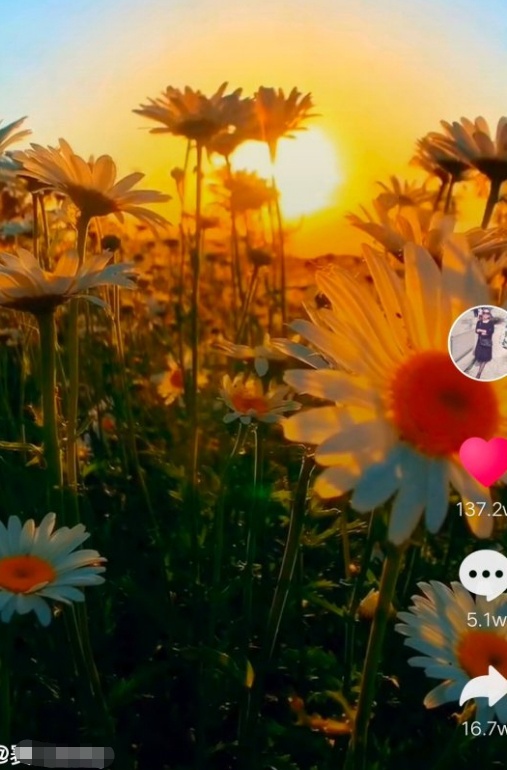 粉丝 抖音视频制作教程，短视频的制作方法！！  抖音视频制作教程 第1张